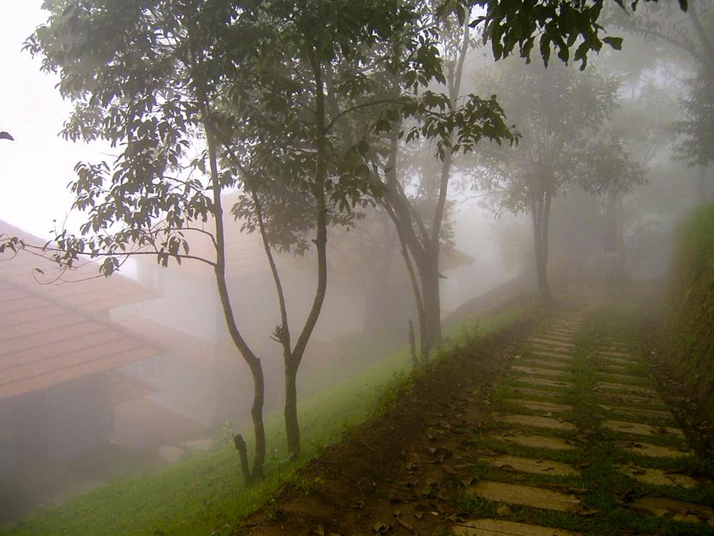 Munnar